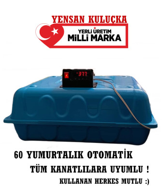 35 Lik Hobi Kaz Kuluçka Makinası Otomatik Çevirme En iyi Çıkım Veren Kuluçka Makineleri